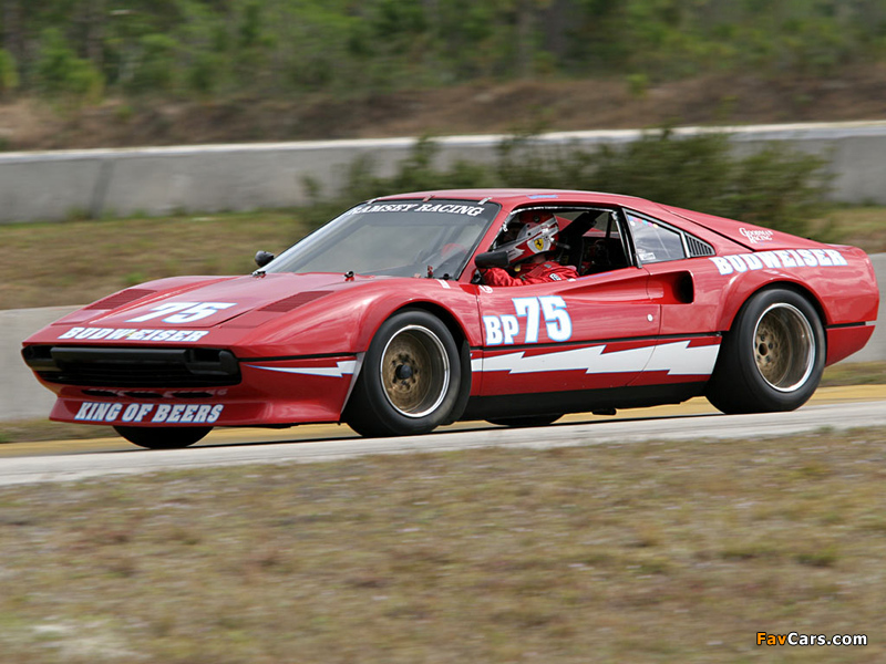 Ferrari 308 GTB Group 4 Michelotto 1978–85 wallpapers (800 x 600)