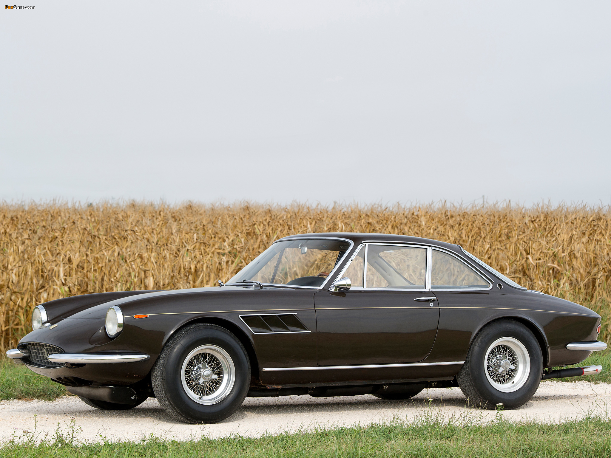 Ferrari 330 GTC 1966–68 pictures (2048 x 1536)