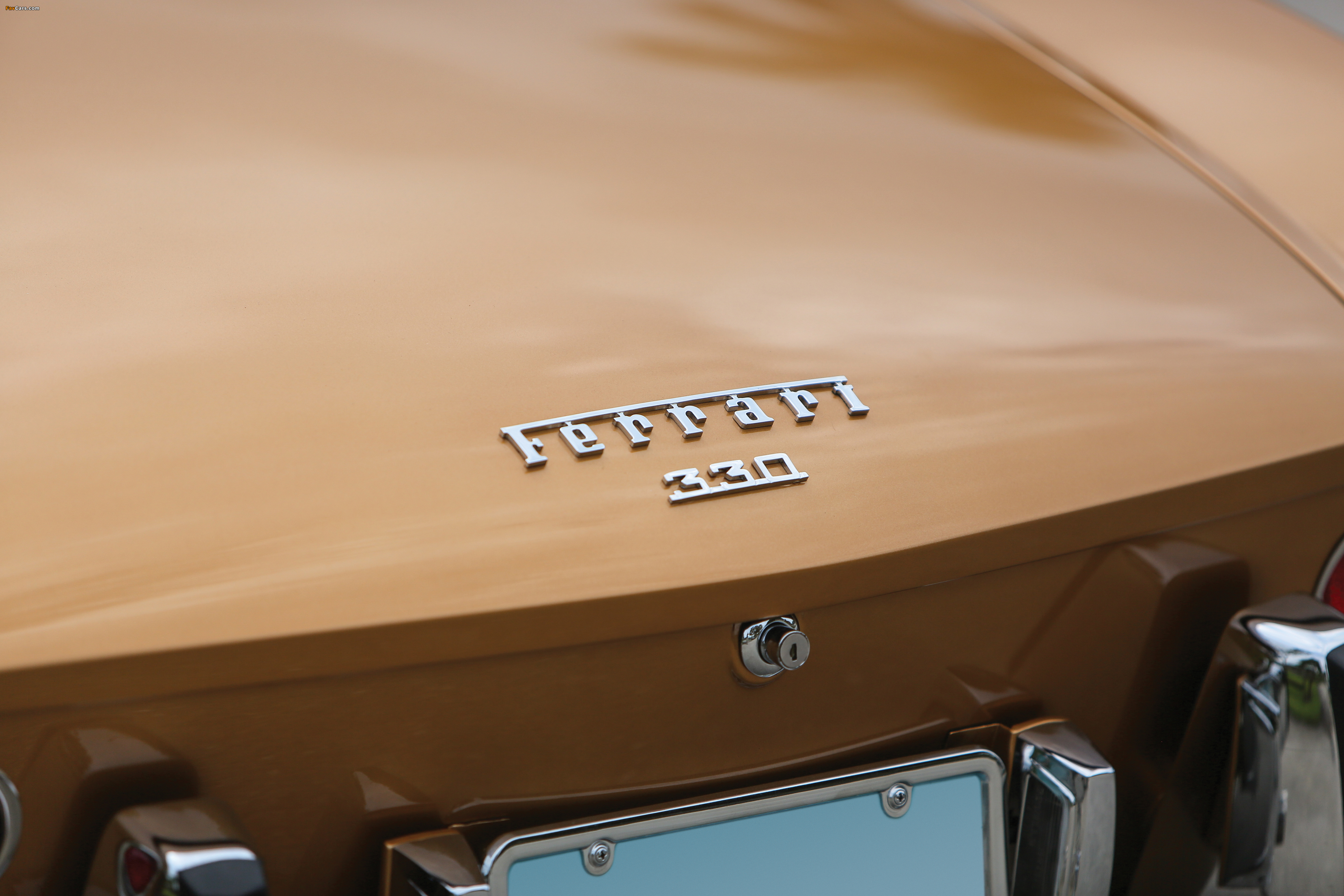 Ferrari 330 GTS 1966–68 pictures (4000 x 2667)