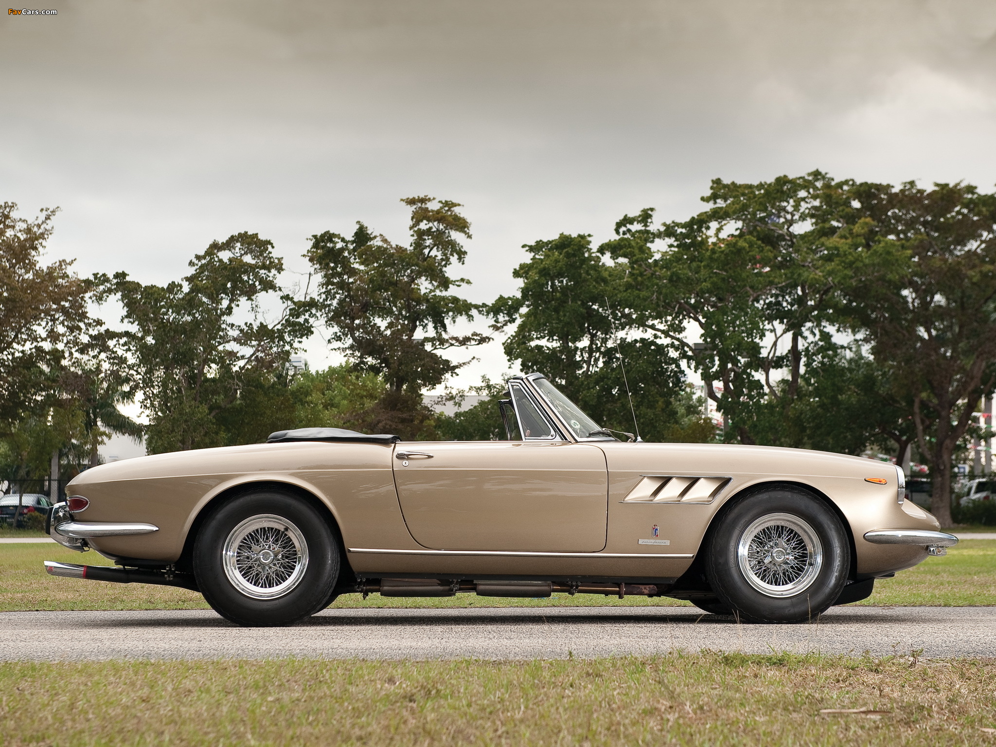 Ferrari 330 GTS 1967–68 pictures (2048 x 1536)