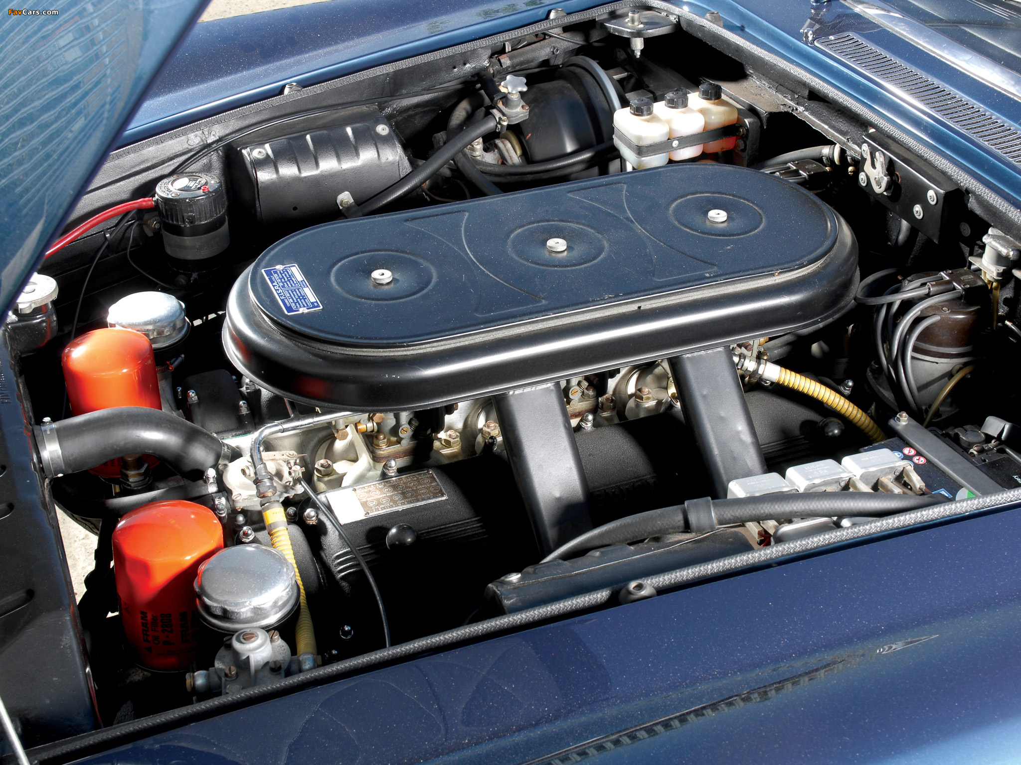 Pictures of Ferrari 330 GT 2+2 UK-spec (Series II) 1965–67 (2048 x 1536)
