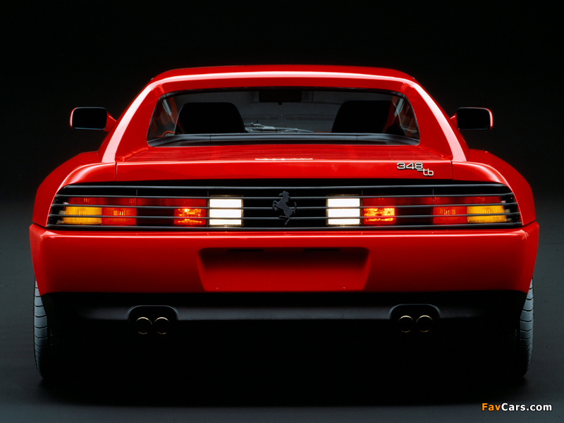 Ferrari 348 TB 1989–93 photos (800 x 600)