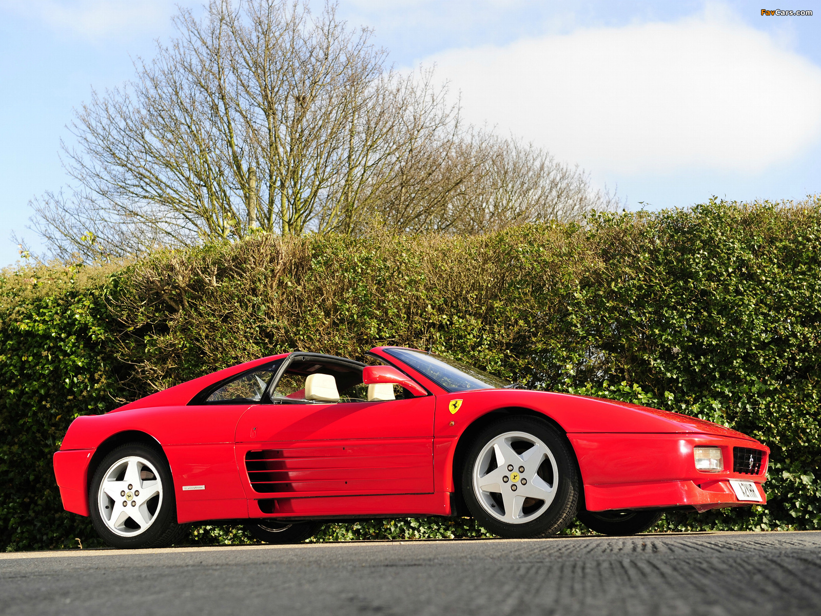 Images of Ferrari 348 TS 1989–93 (1600 x 1200)