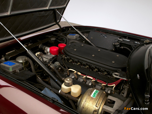 Ferrari 365 GTB/4 Daytona 1968–74 pictures (640 x 480)