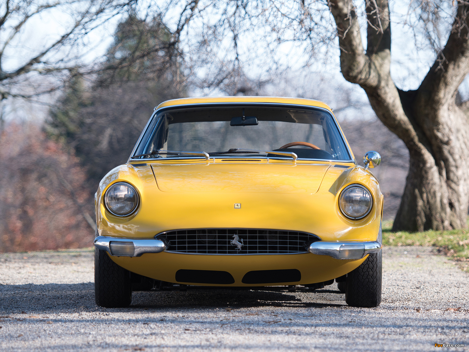 Ferrari 365 GT 2+2 1968–70 pictures (1600 x 1200)