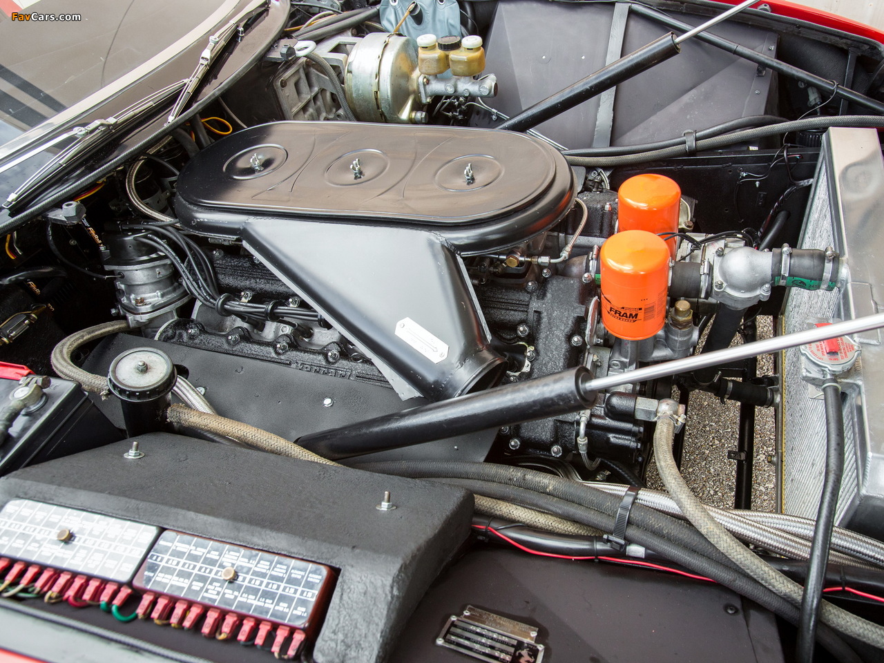 Ferrari 365 GTB/4 Daytona 1971–73 images (1280 x 960)