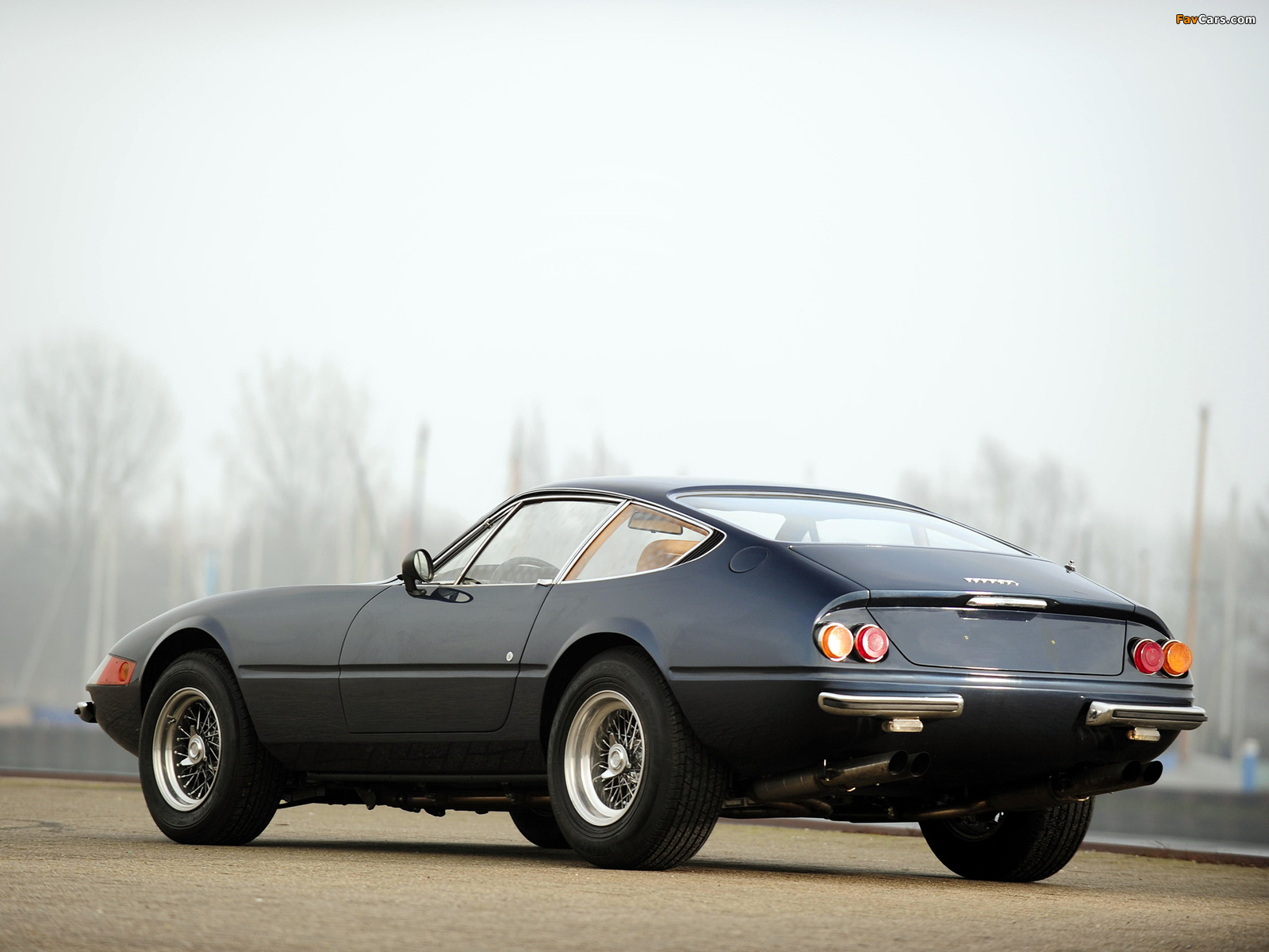 Ferrari 365 GTB/4 Daytona 1971–73 images (1600 x 1200)