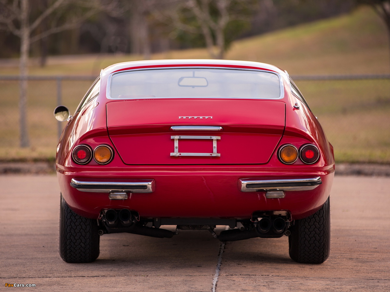 Ferrari 365 GTB/4 Daytona 1971–73 photos (1280 x 960)