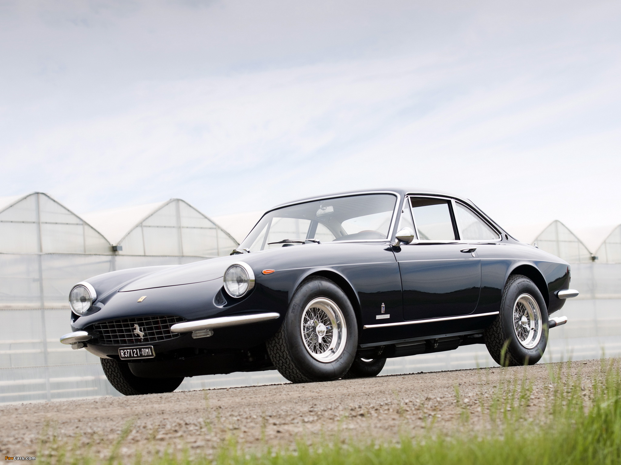 Photos of Ferrari 365 GTC 1968–69 (2048 x 1536)