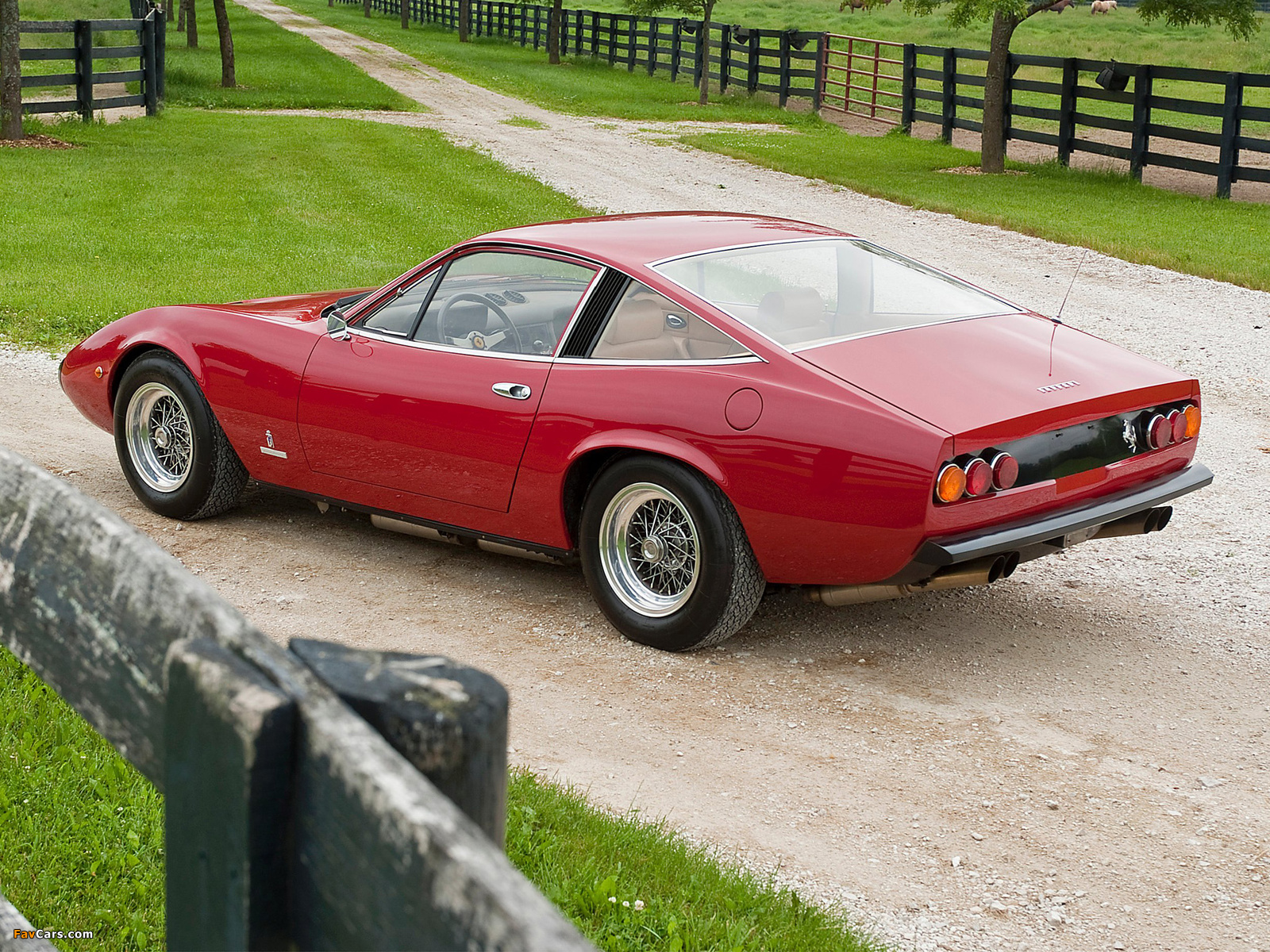 Photos of Ferrari 365 GTC/4 1971–73 (1600 x 1200)