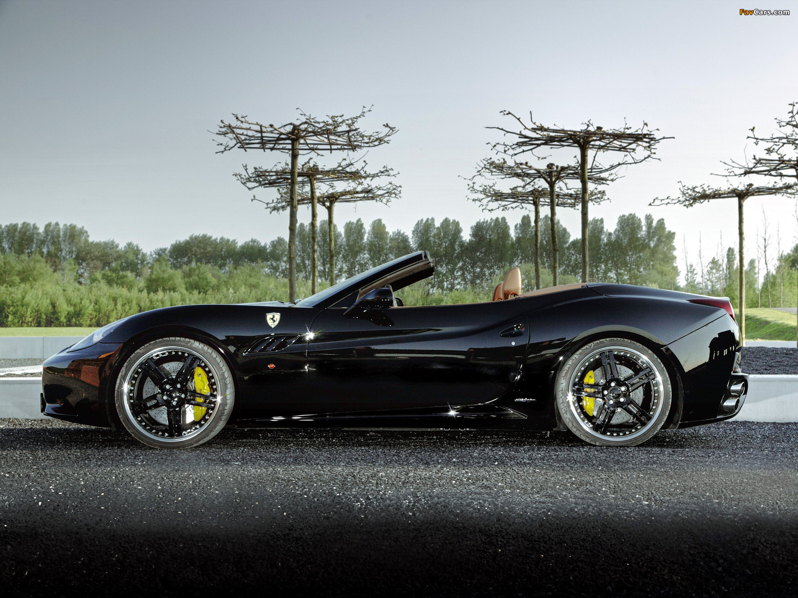 Edo Competition Ferrari California 2009 wallpapers (1600 x 1200)