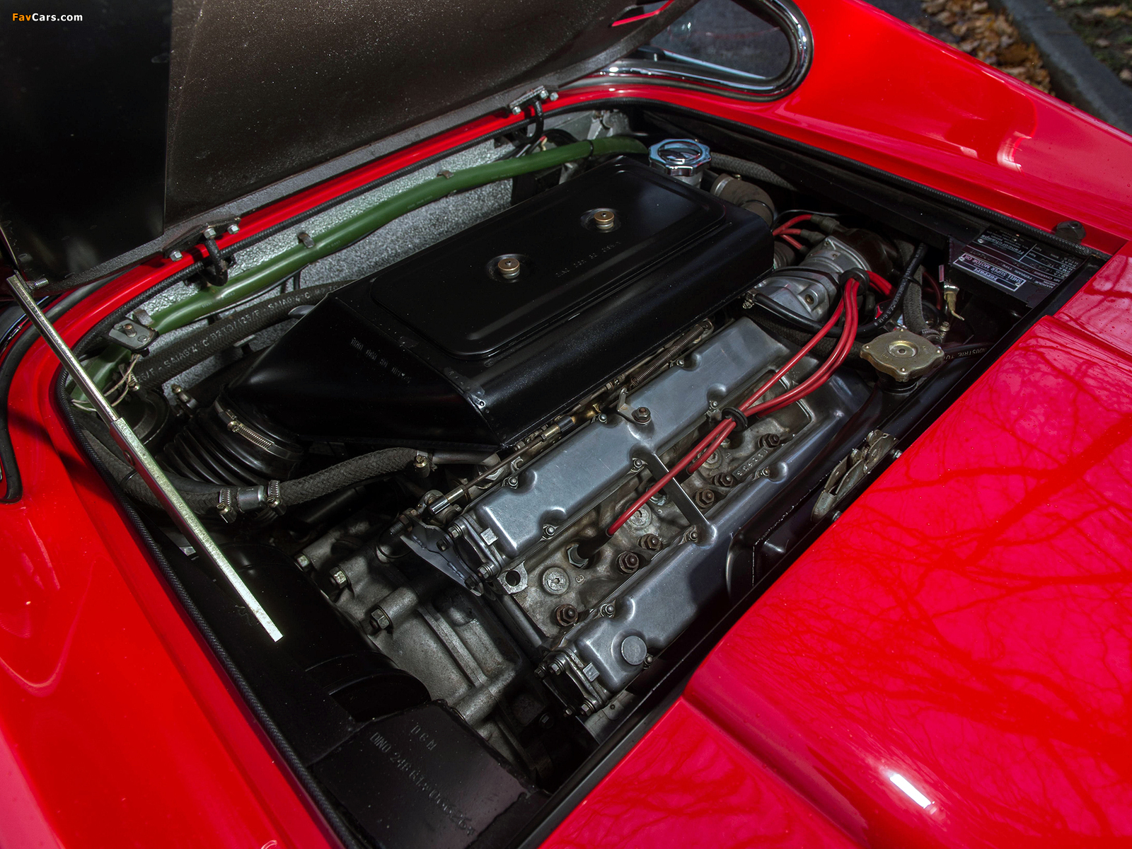 Ferrari Dino 246 GT 1969–74 pictures (1600 x 1200)