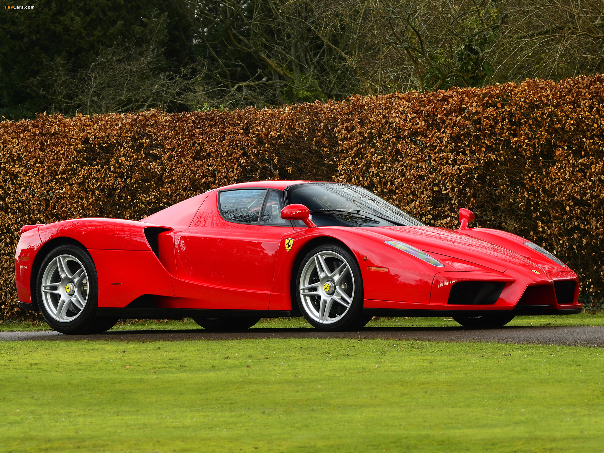 Ferrari Enzo 2002–04 wallpapers (2048 x 1536)