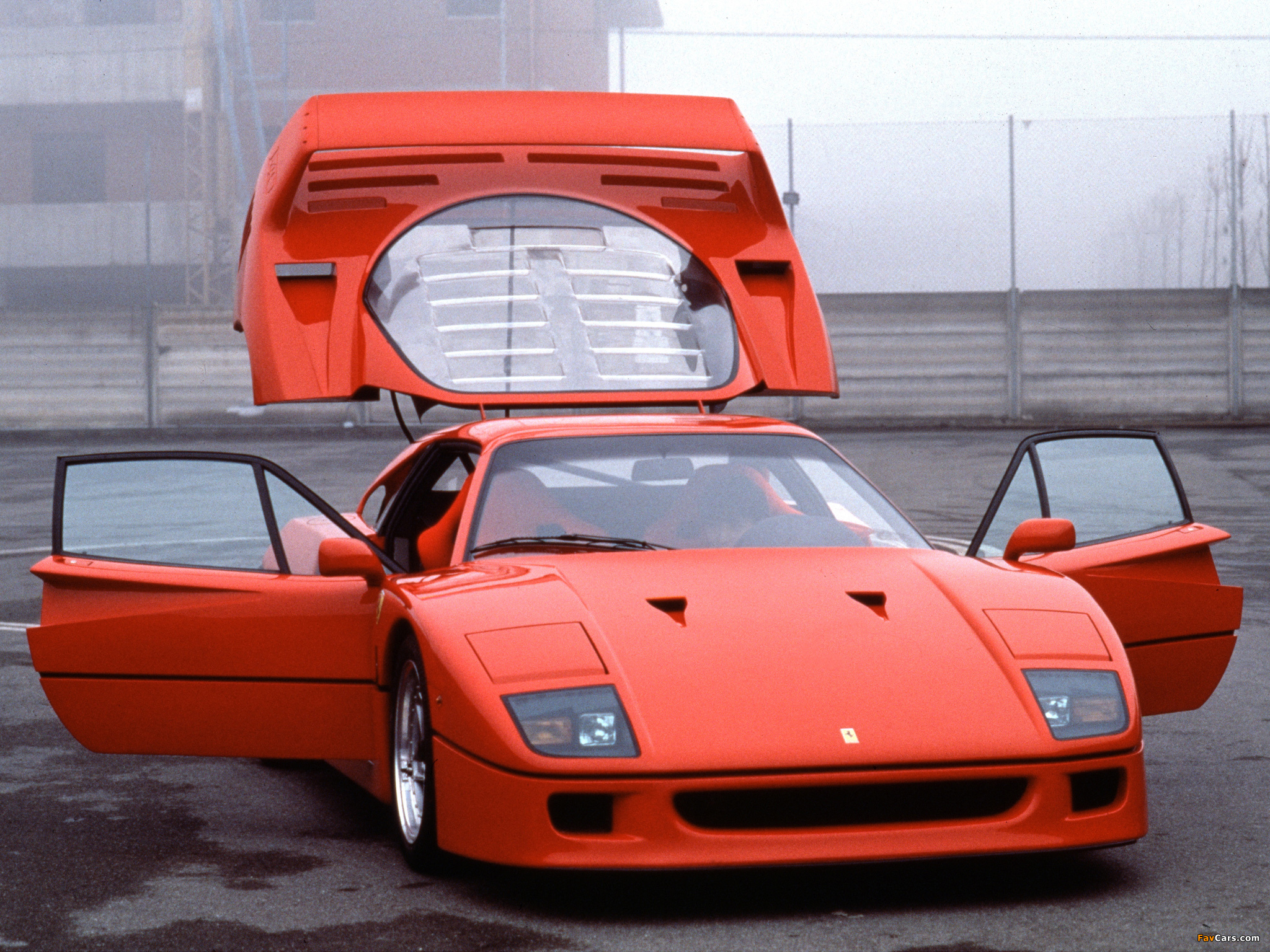 Ferrari F40 1987–92 images (2048 x 1536)