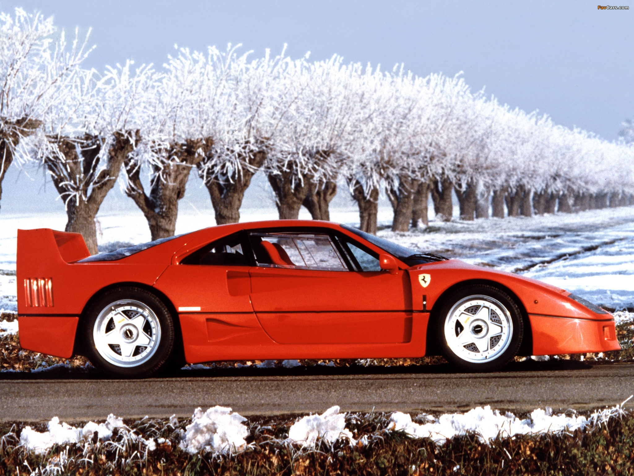 Ferrari F40 1987–92 pictures (2048 x 1536)