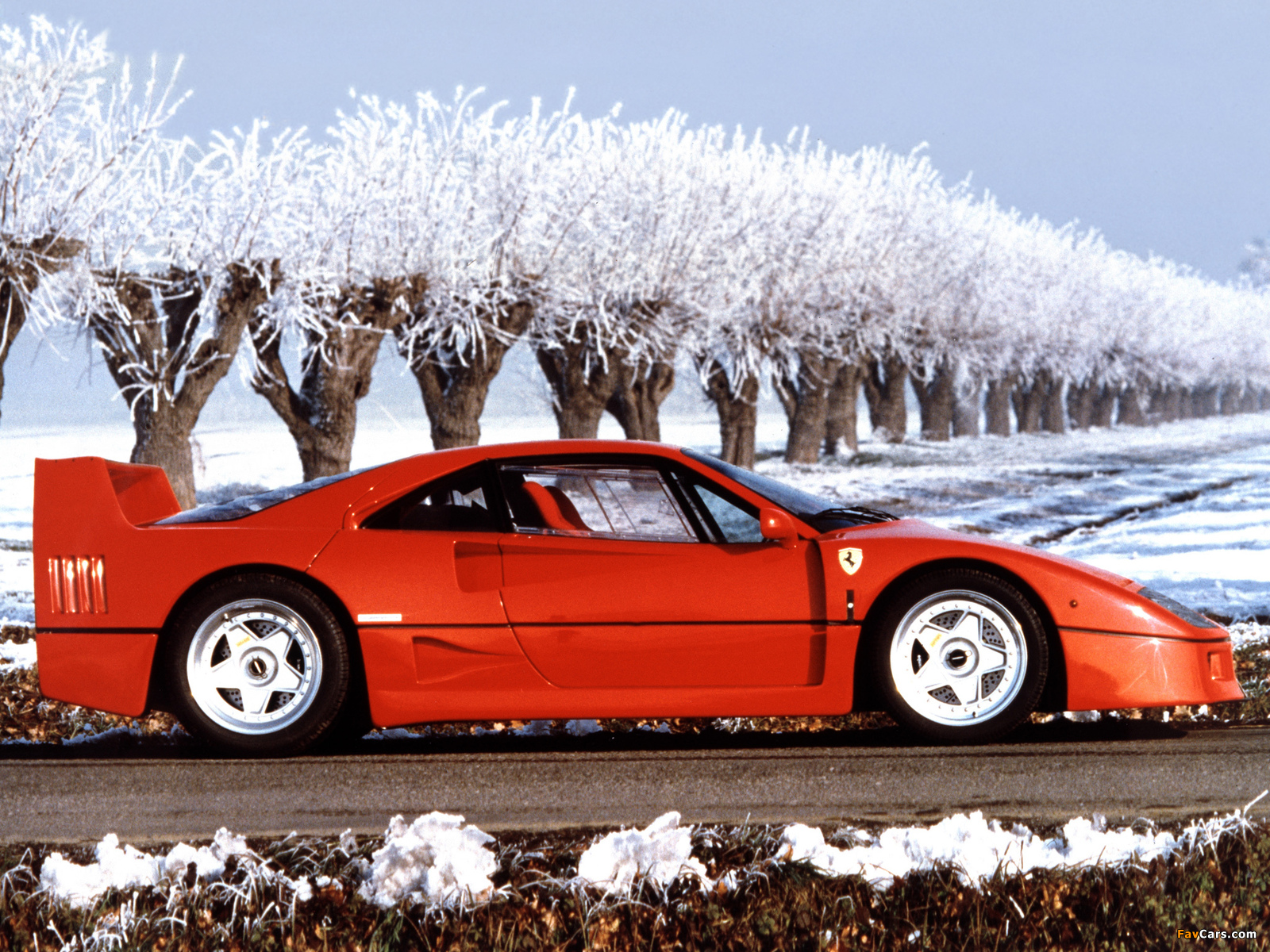 Ferrari F40 1987–92 pictures (1600 x 1200)