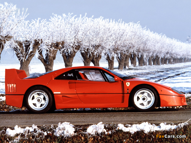 Ferrari F40 1987–92 pictures (640 x 480)