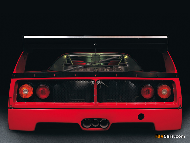 Ferrari F40 LM 1988–94 pictures (640 x 480)