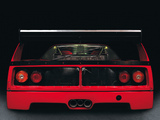 Ferrari F40 LM 1988–94 pictures