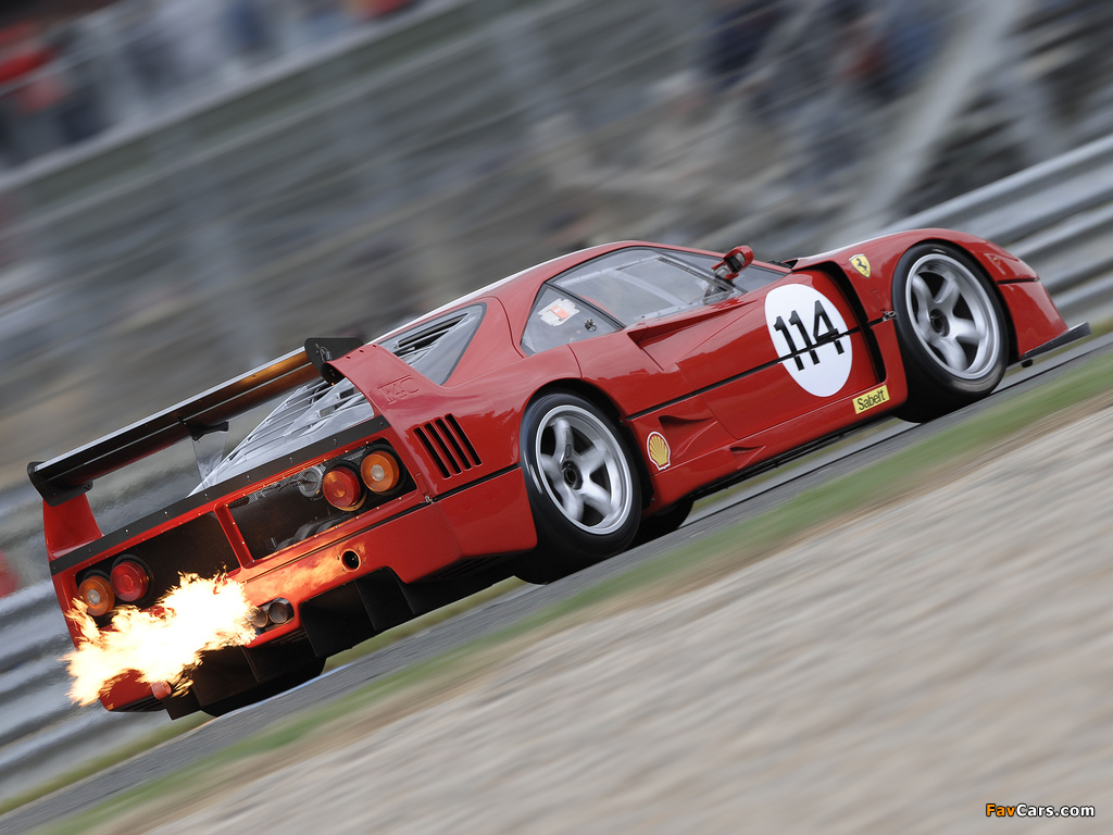 Ferrari F40 LM 1988–94 pictures (1024 x 768)