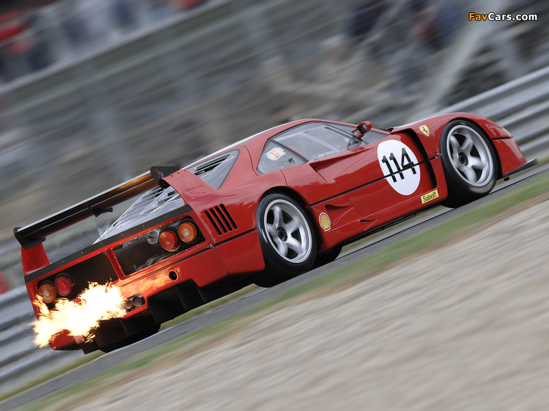 Ferrari F40 LM 1988–94 pictures (800 x 600)