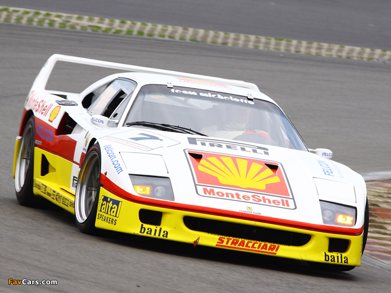 Ferrari F40 GT 1989 images (800 x 600)