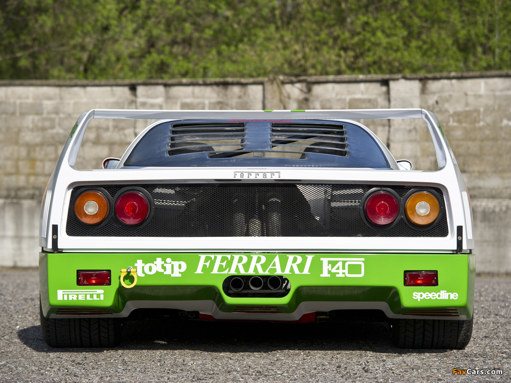 Ferrari F40 GT 1989 pictures (1024 x 768)