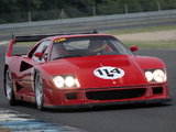 Images of Ferrari F40 LM 1988–94