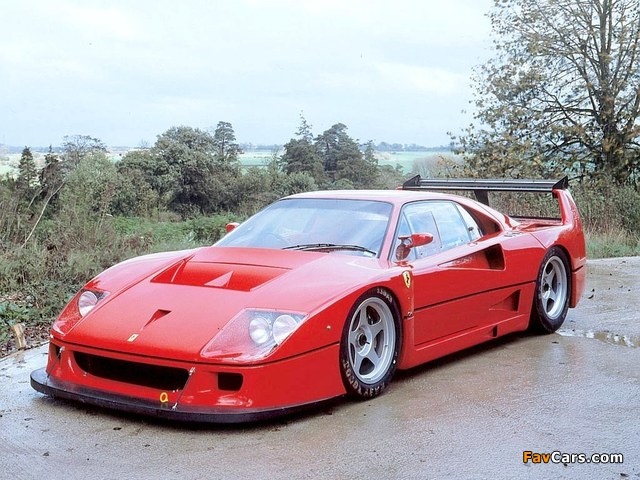 Pictures of Ferrari F40 LM 1988–94 (640 x 480)
