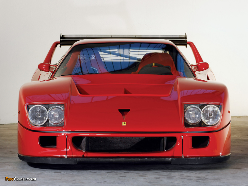 Pictures of Ferrari F40 LM 1988–94 (800 x 600)