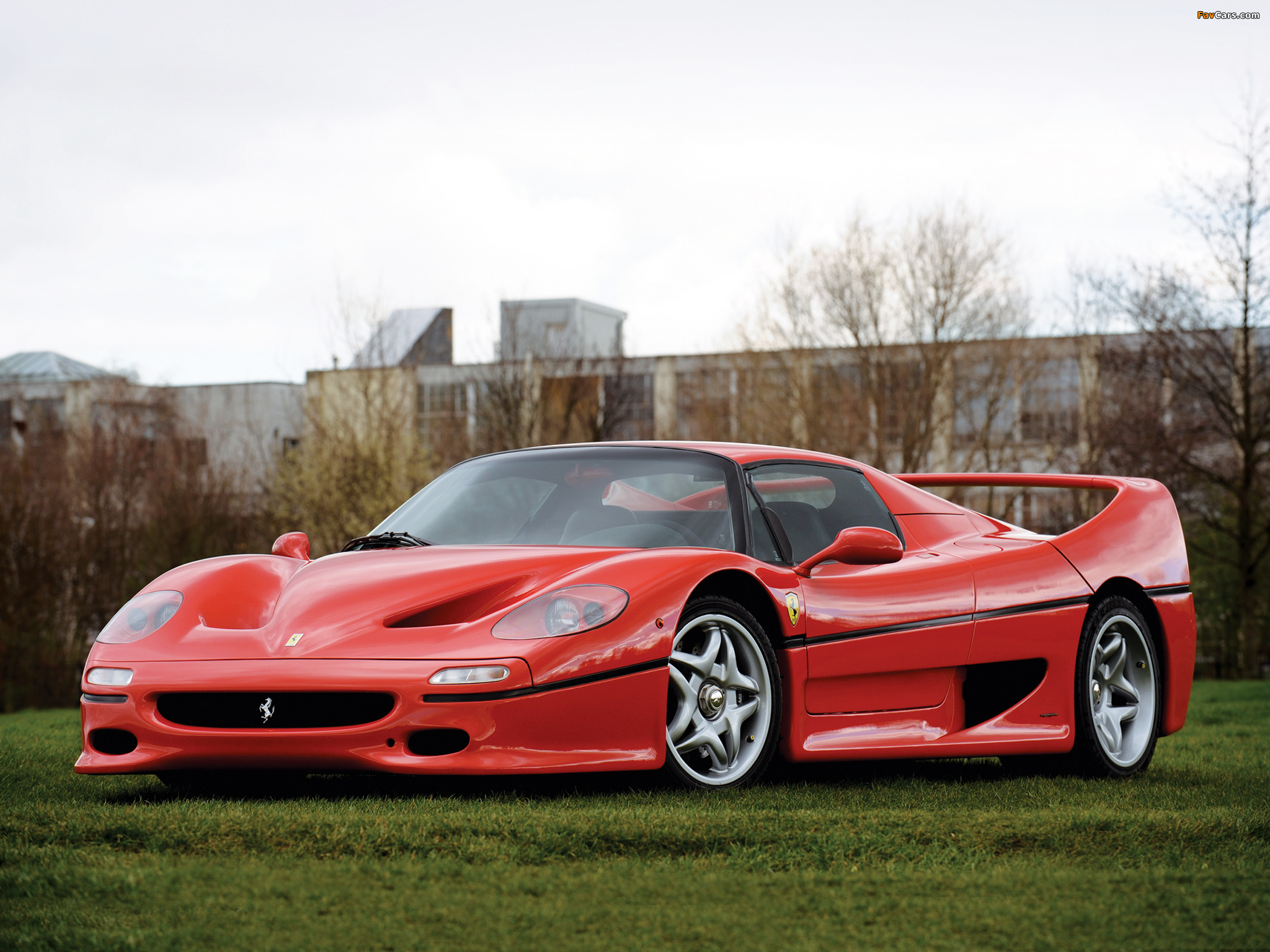 Ferrari F50 1995–97 images (2048 x 1536)