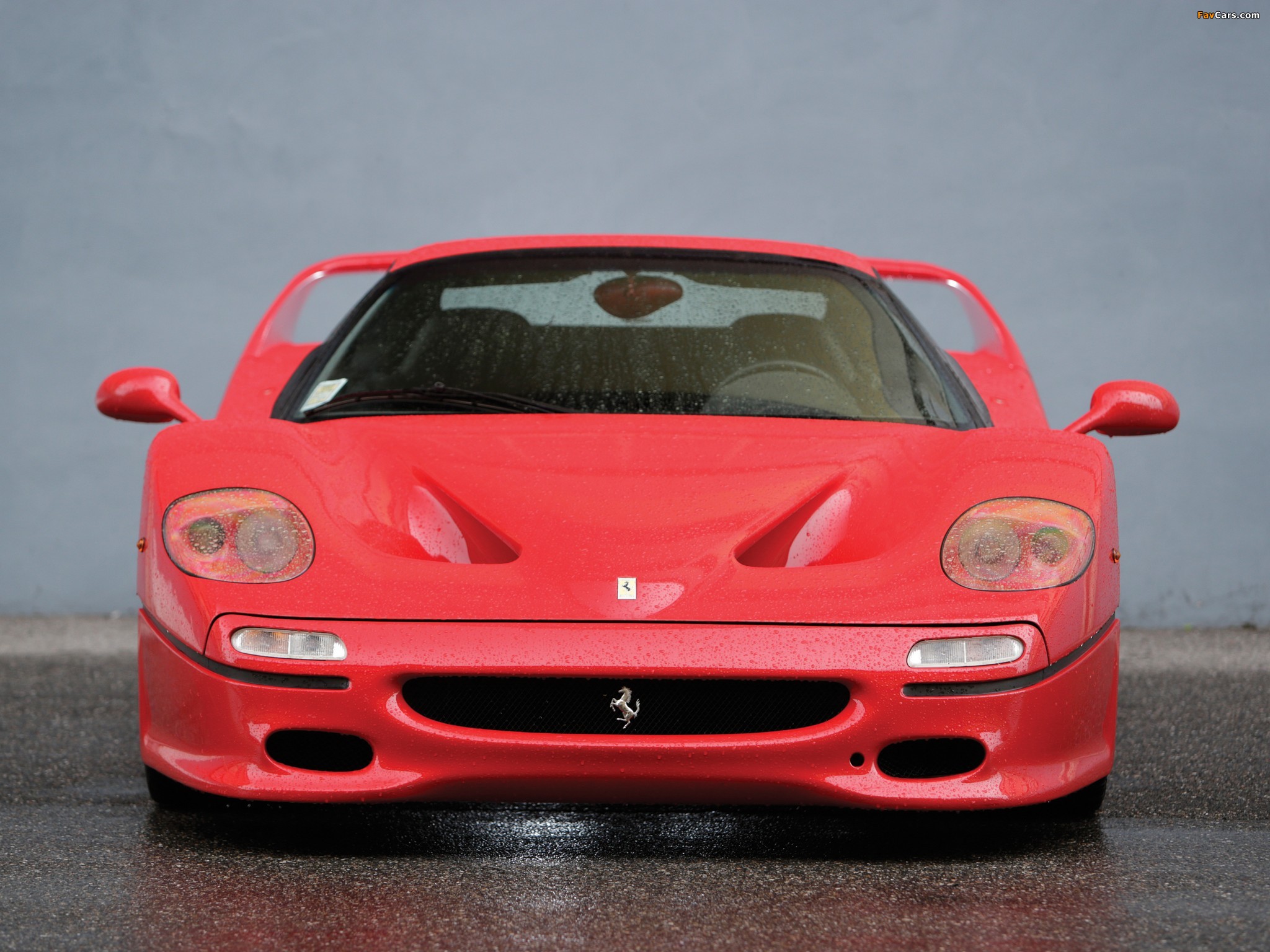 Ferrari F50 1995–97 photos (2048 x 1536)