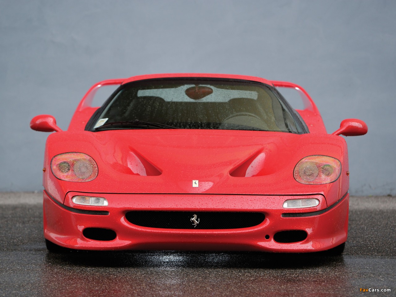 Ferrari F50 1995–97 photos (1280 x 960)