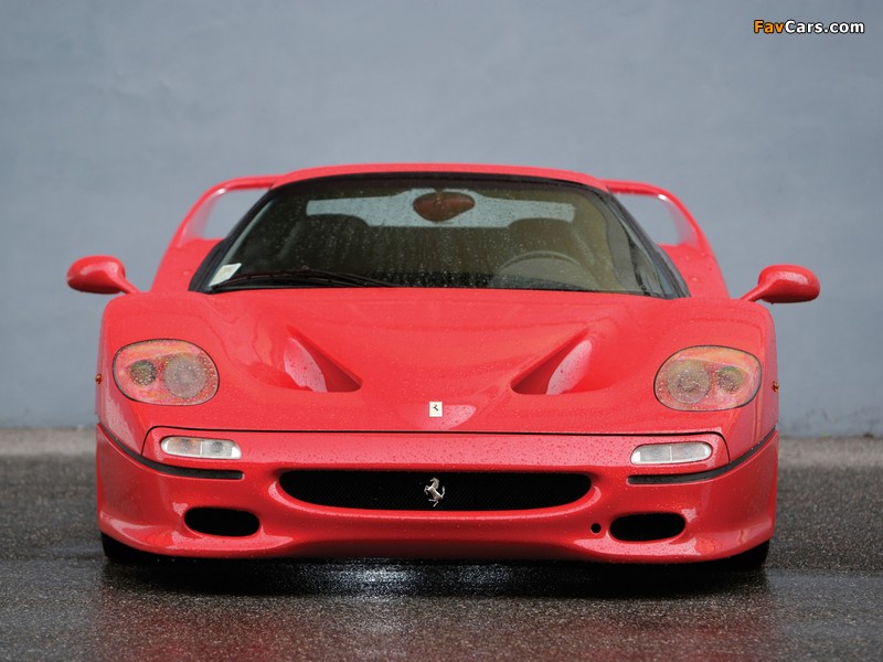 Ferrari F50 1995–97 photos (800 x 600)