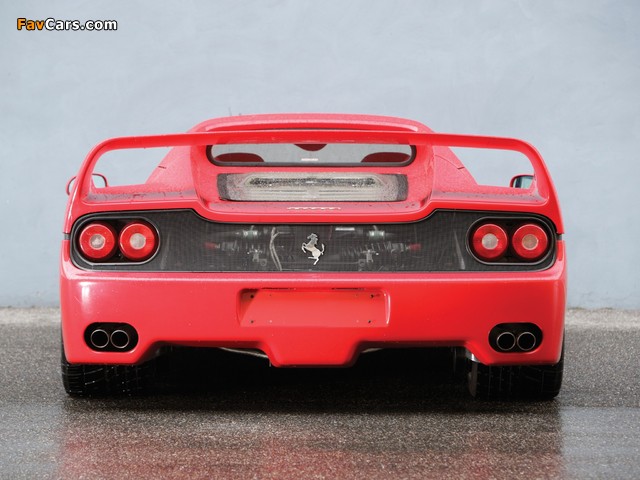 Ferrari F50 1995–97 pictures (640 x 480)