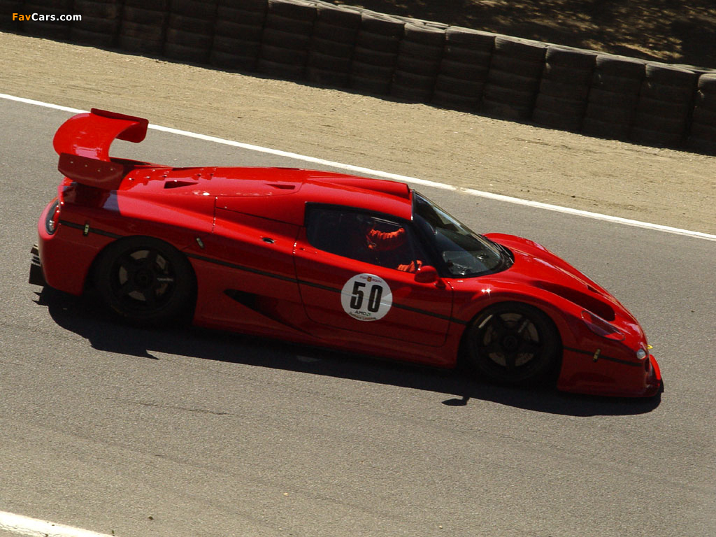 Pictures of Ferrari F50 GT1 (1024 x 768)