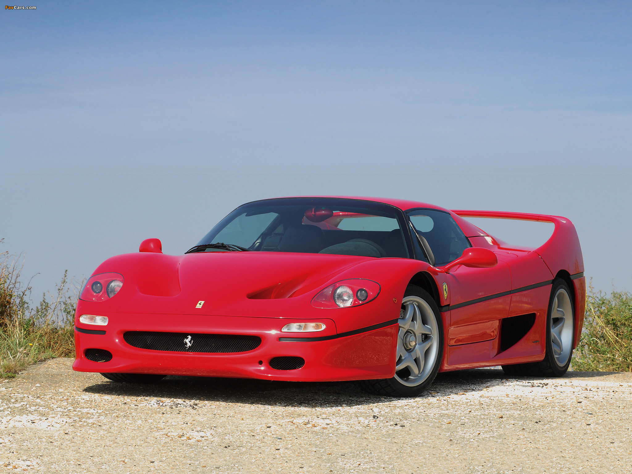 Pictures of Ferrari F50 1995–97 (2048 x 1536)
