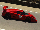 Pictures of Ferrari F50 GT1