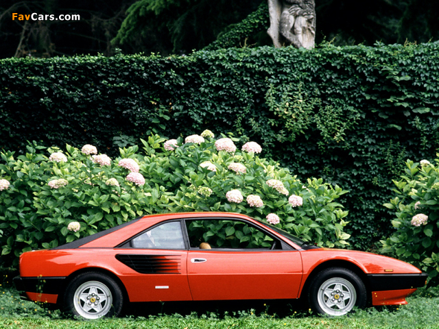 Ferrari Mondial 8 1980–82 images (640 x 480)