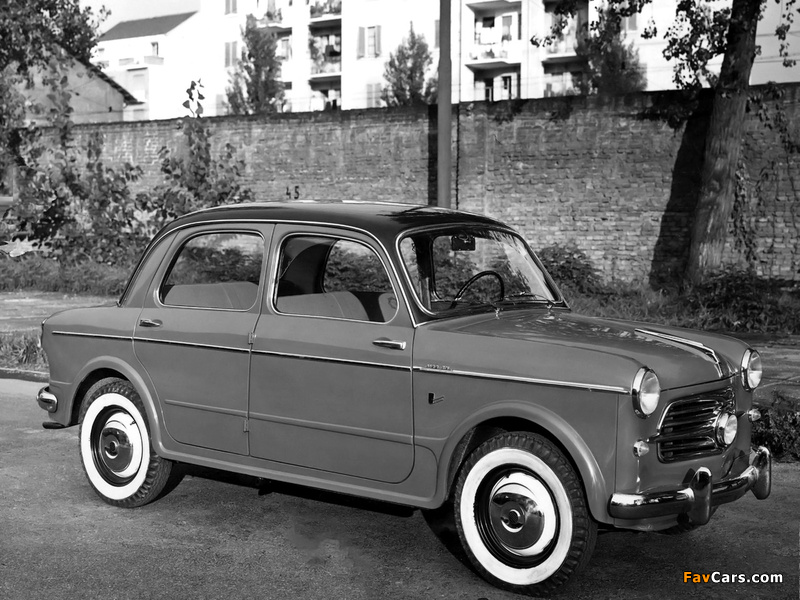 Fiat 1100 TV (103) 1953–56 photos (800 x 600)