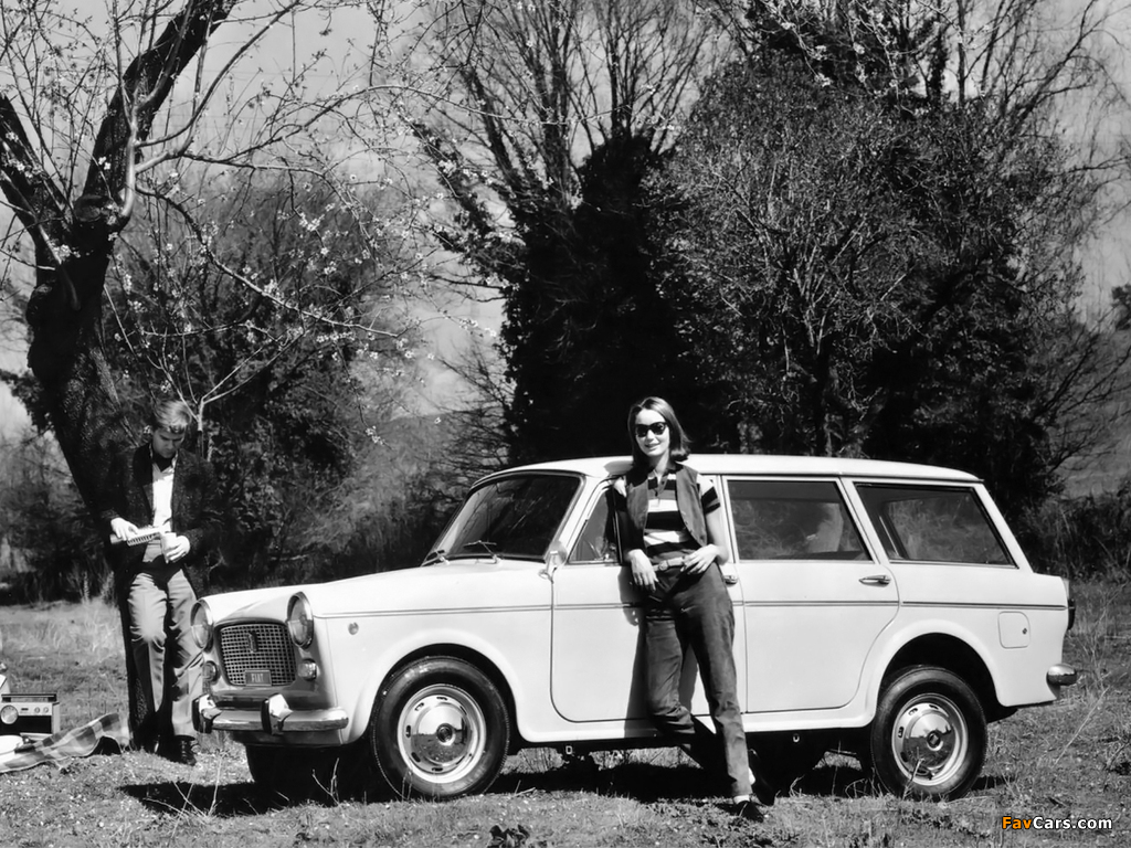 Fiat 1100 D Familiare 1962–66 pictures (1024 x 768)