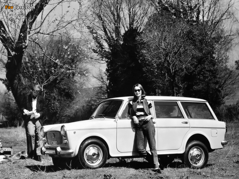 Fiat 1100 D Familiare 1962–66 pictures (800 x 600)