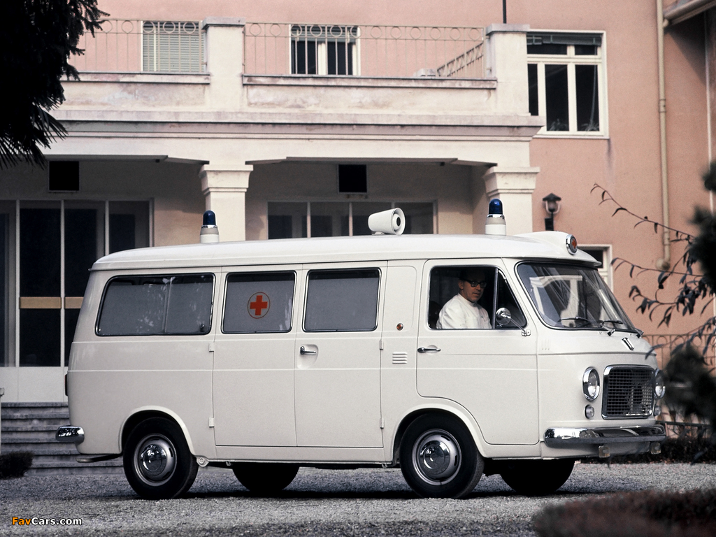 Photos of Fiat 238 Ambulance 1968–78 (1024 x 768)
