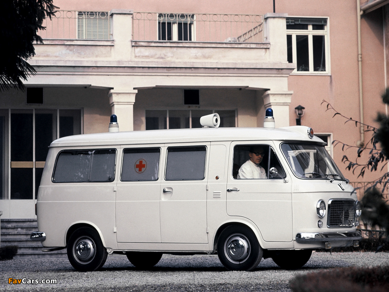 Photos of Fiat 238 Ambulance 1968–78 (800 x 600)