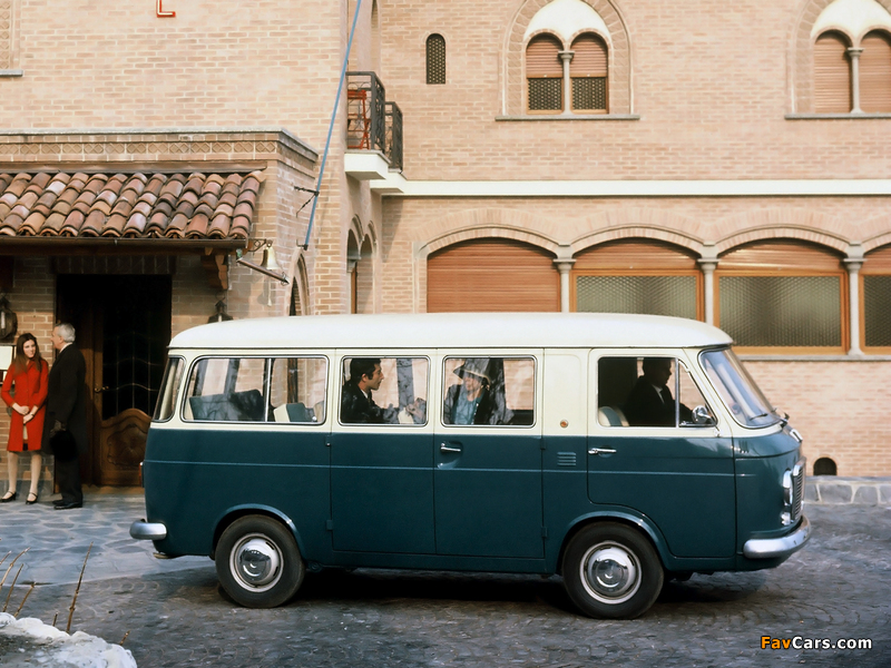 Pictures of Fiat 238 Bus 1968–78 (800 x 600)