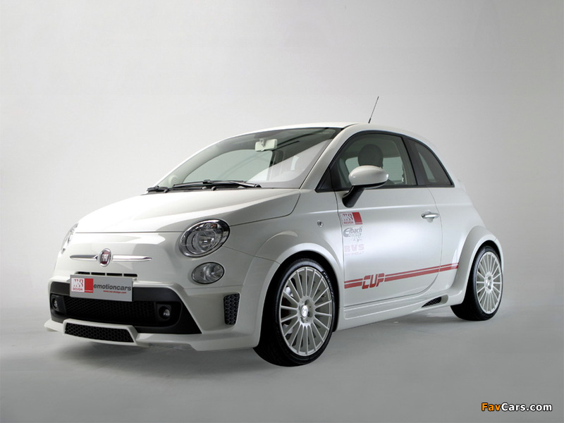 MS Design Fiat 500 Cup 2008 wallpapers (800 x 600)