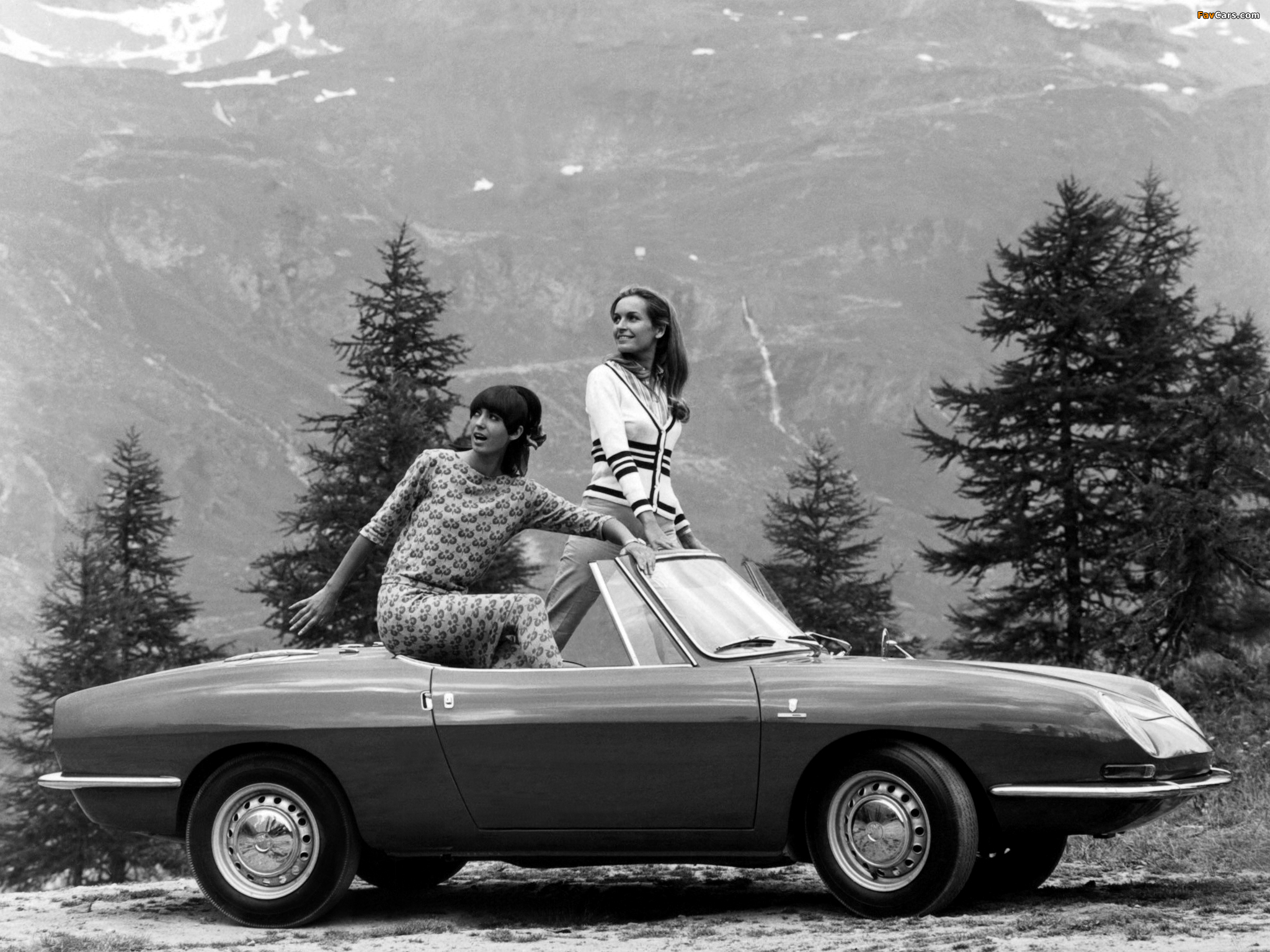 Photos of Fiat 850 Spider 1965–68 (2048 x 1536)