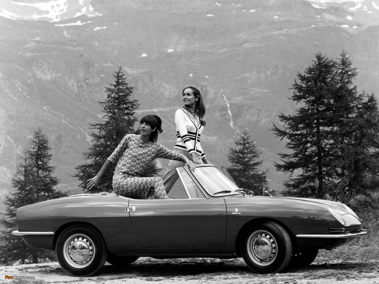Photos of Fiat 850 Spider 1965–68 (1280 x 960)