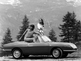 Photos of Fiat 850 Spider 1965–68