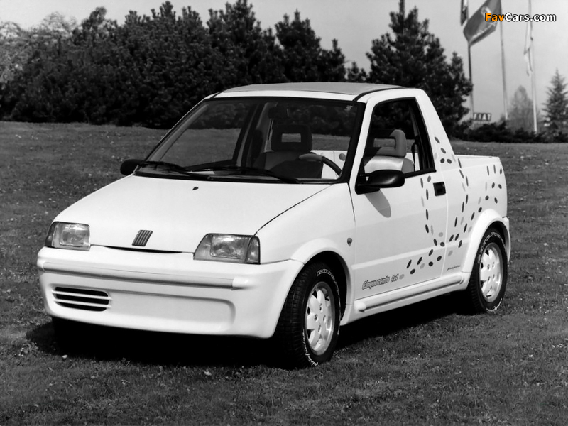 Pictures of Fiat Cinquecento 4x4 Pick-up (170) 1992 (800 x 600)
